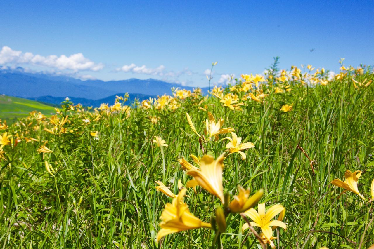 安德马特温泉山岳度假村 Nagawa 外观 照片
