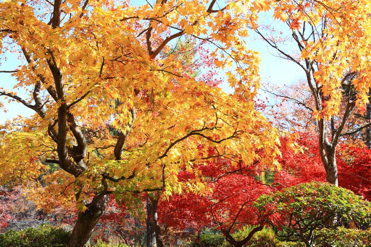 安德马特温泉山岳度假村 Nagawa 外观 照片